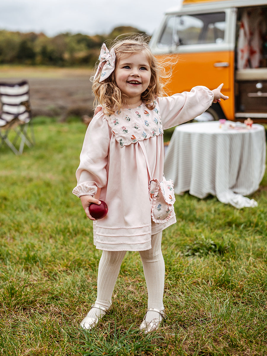 Ely Embroidered Dress, Light Rose – view 4