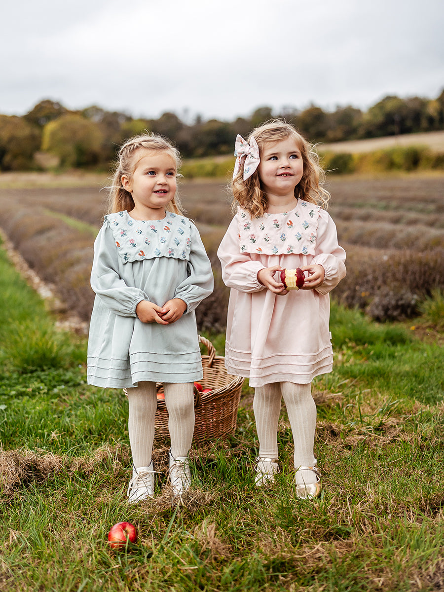Ely Embroidered Dress, Pea Green – view 5